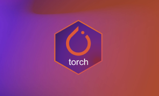 torch 0.10.0