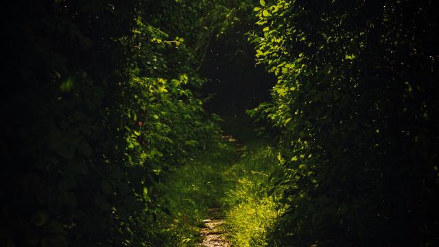 Solutions for R4DS, 2e with Data Trail